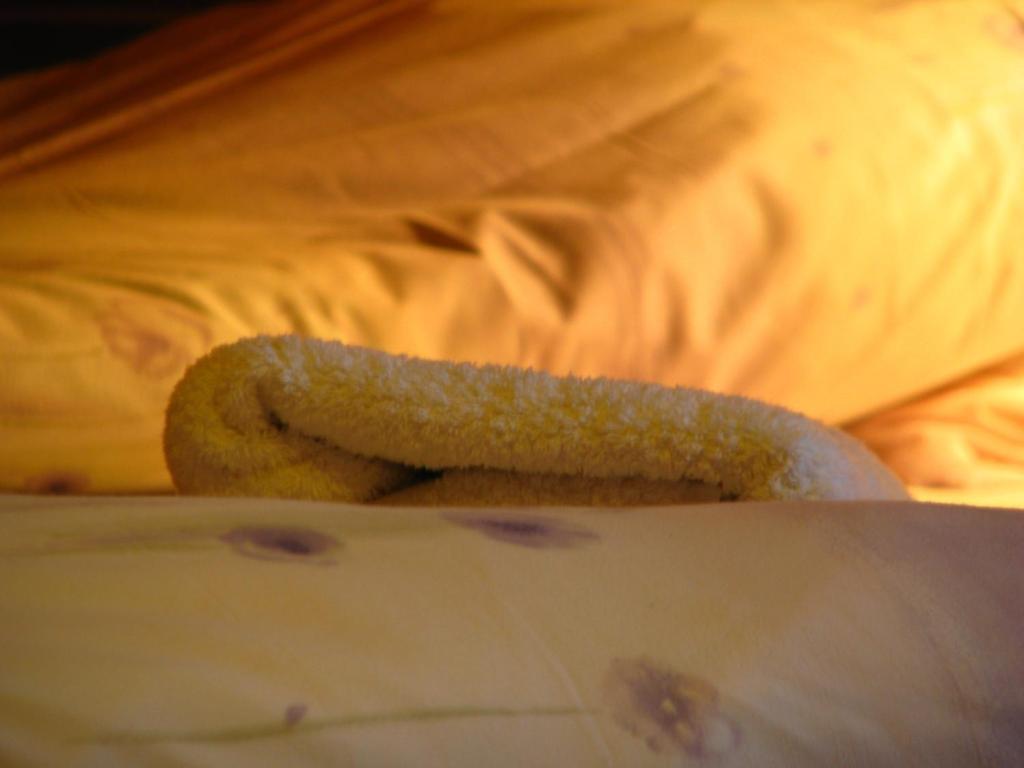 Hlitharendi Guesthouse Husid חדר תמונה